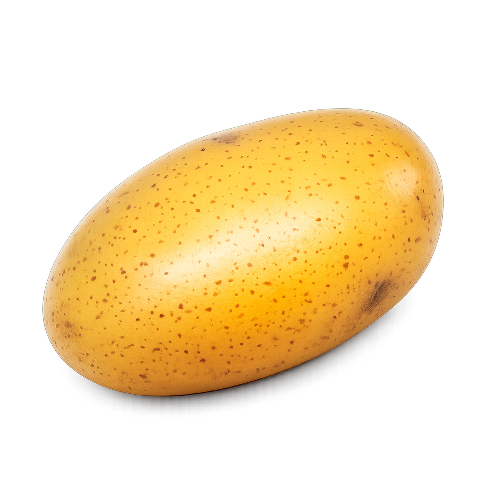 p2-lp-47-unico