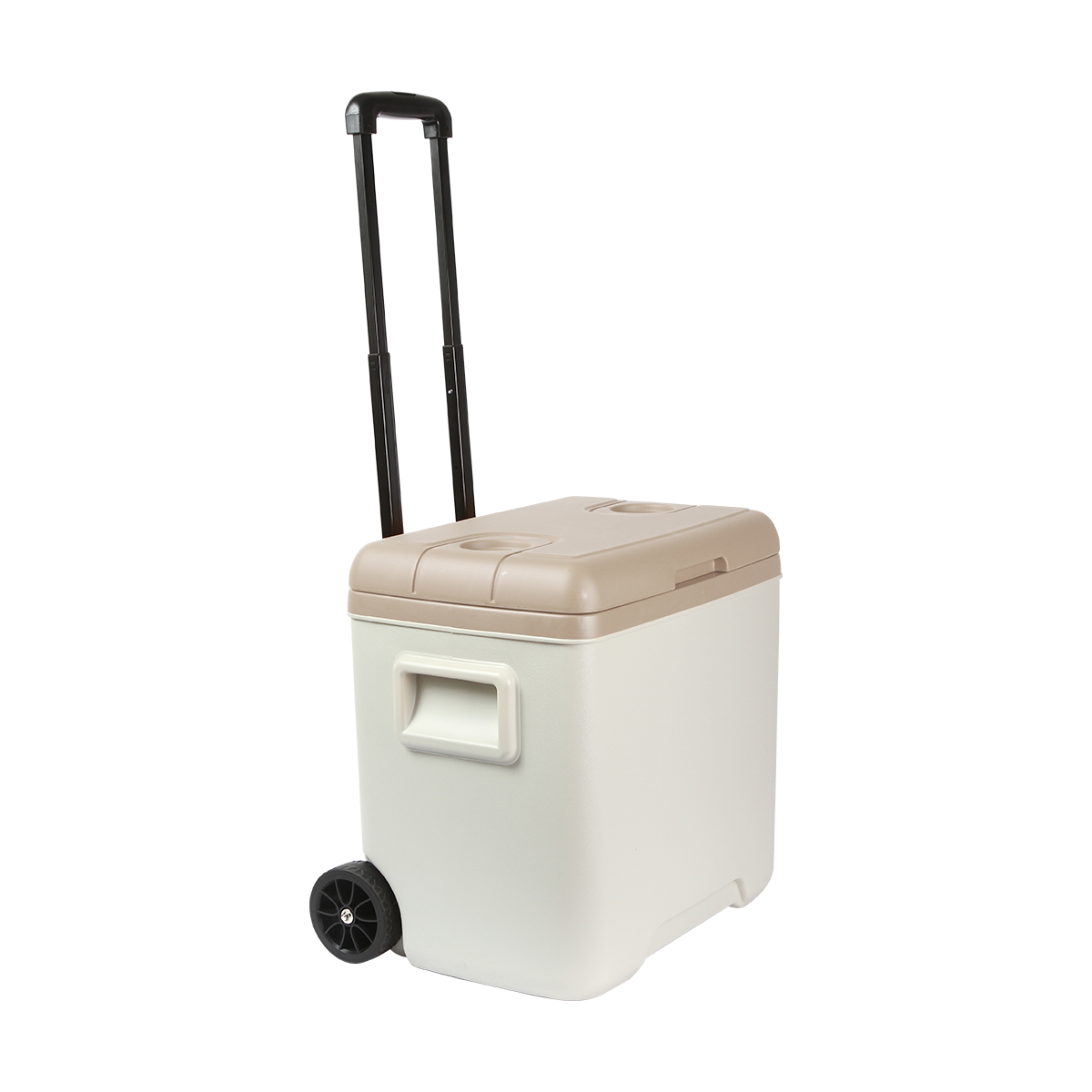 p4-tx306c